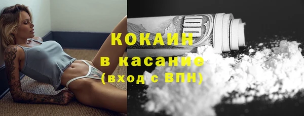 гашик Кулебаки