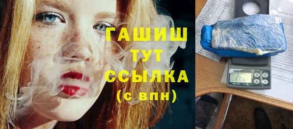 дмт Краснослободск