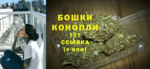 СК Коряжма