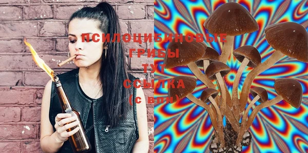 PSILOCYBIN Краснотурьинск