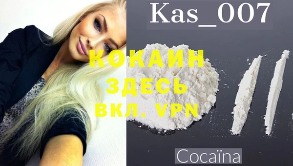 дмт Краснослободск