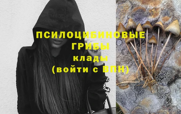 мдпв Лиски
