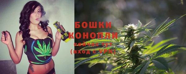 гашик Кулебаки