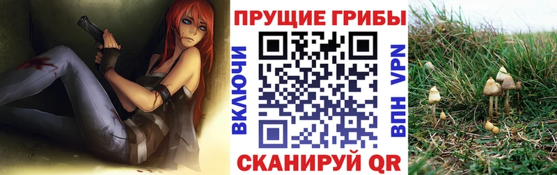 Псилоцибиновые грибы Cubensis  Красноармейск 
